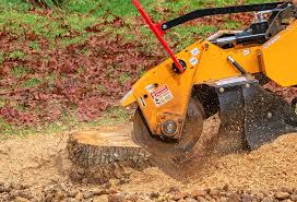 Lawn Grading and Leveling in Farmland, IN