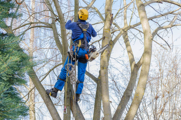 Farmland, IN Tree Services Company